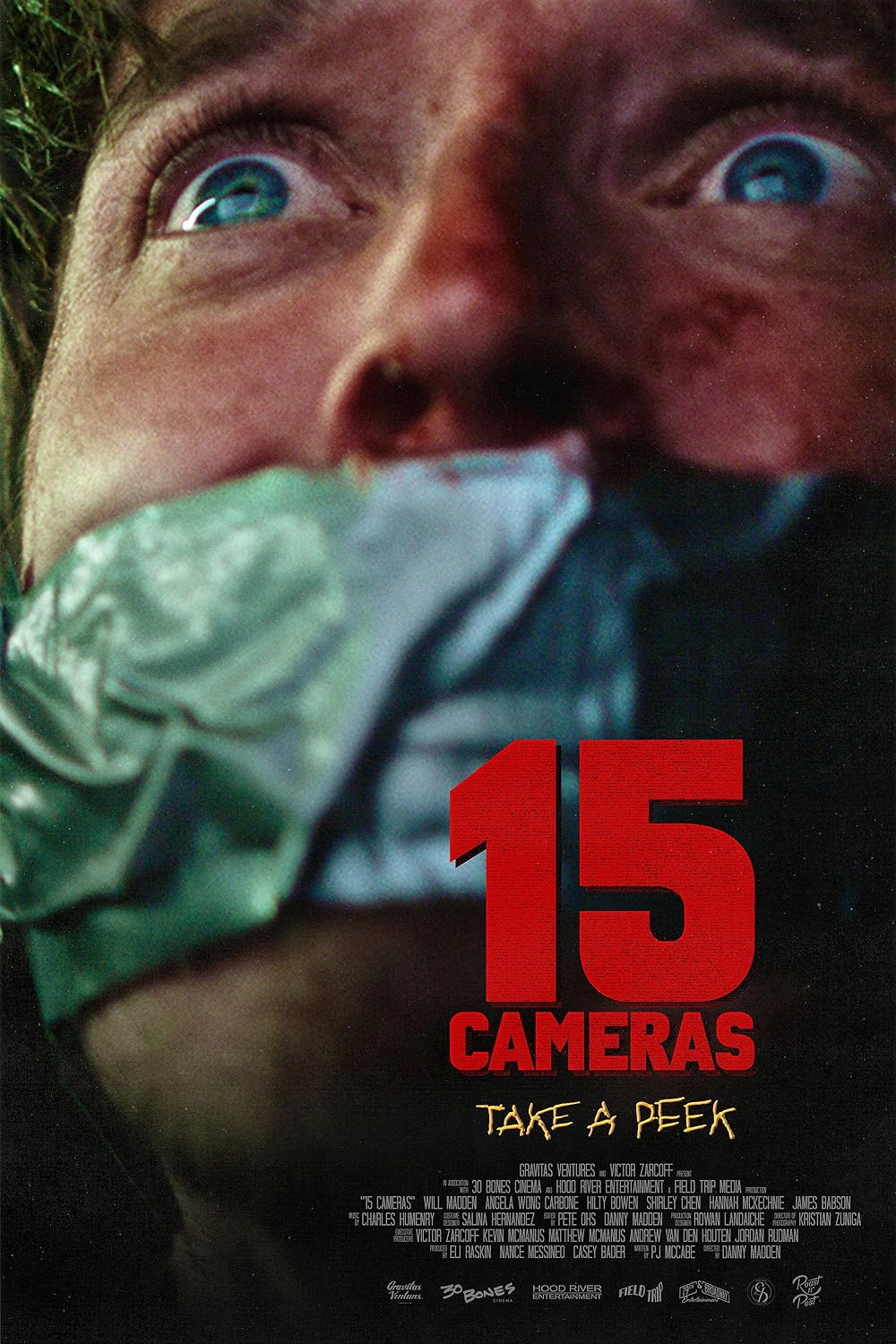 15 Cameras 