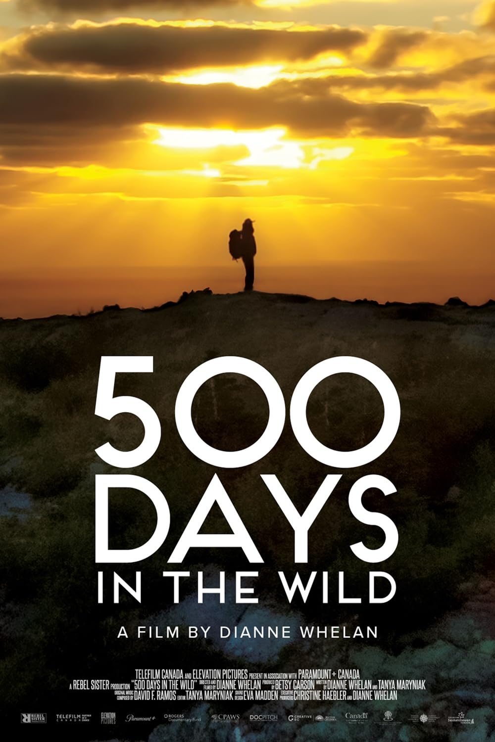 500 Days in the Wild 