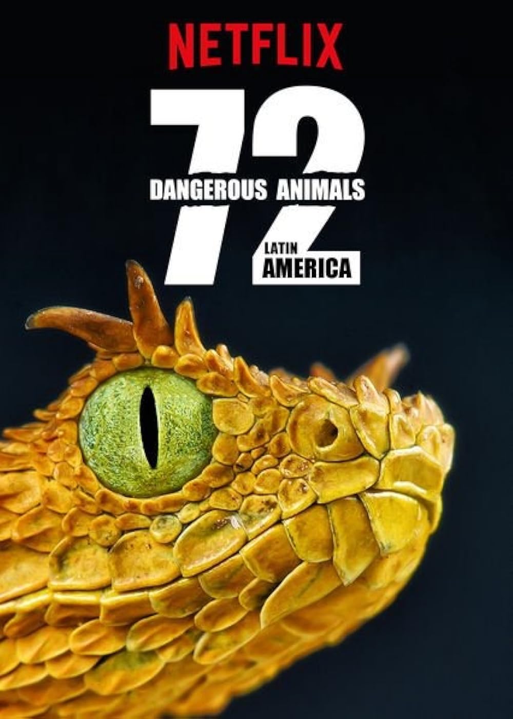 72 Dangerous Animals: Latin America 