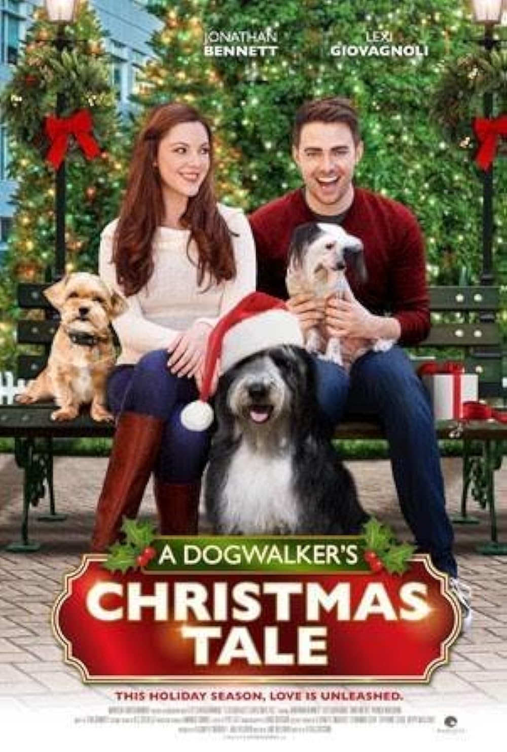 A Dogwalker's Christmas Tale 