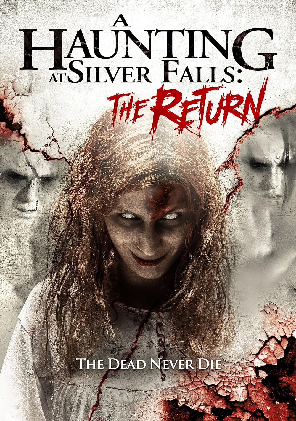 A Haunting at Silver Falls: The Return 