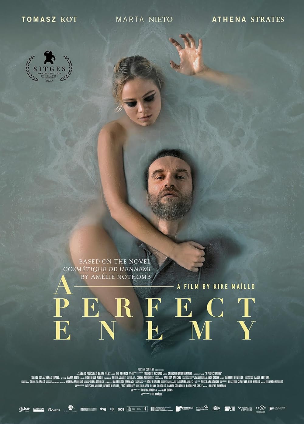 A Perfect Enemy 