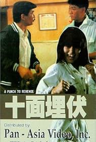 A Punch to Revenge 