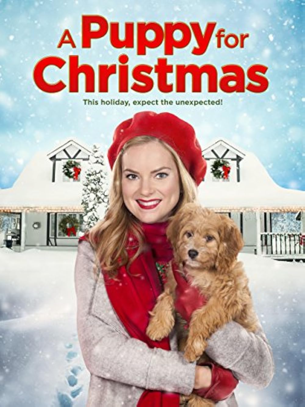 A Puppy for Christmas 