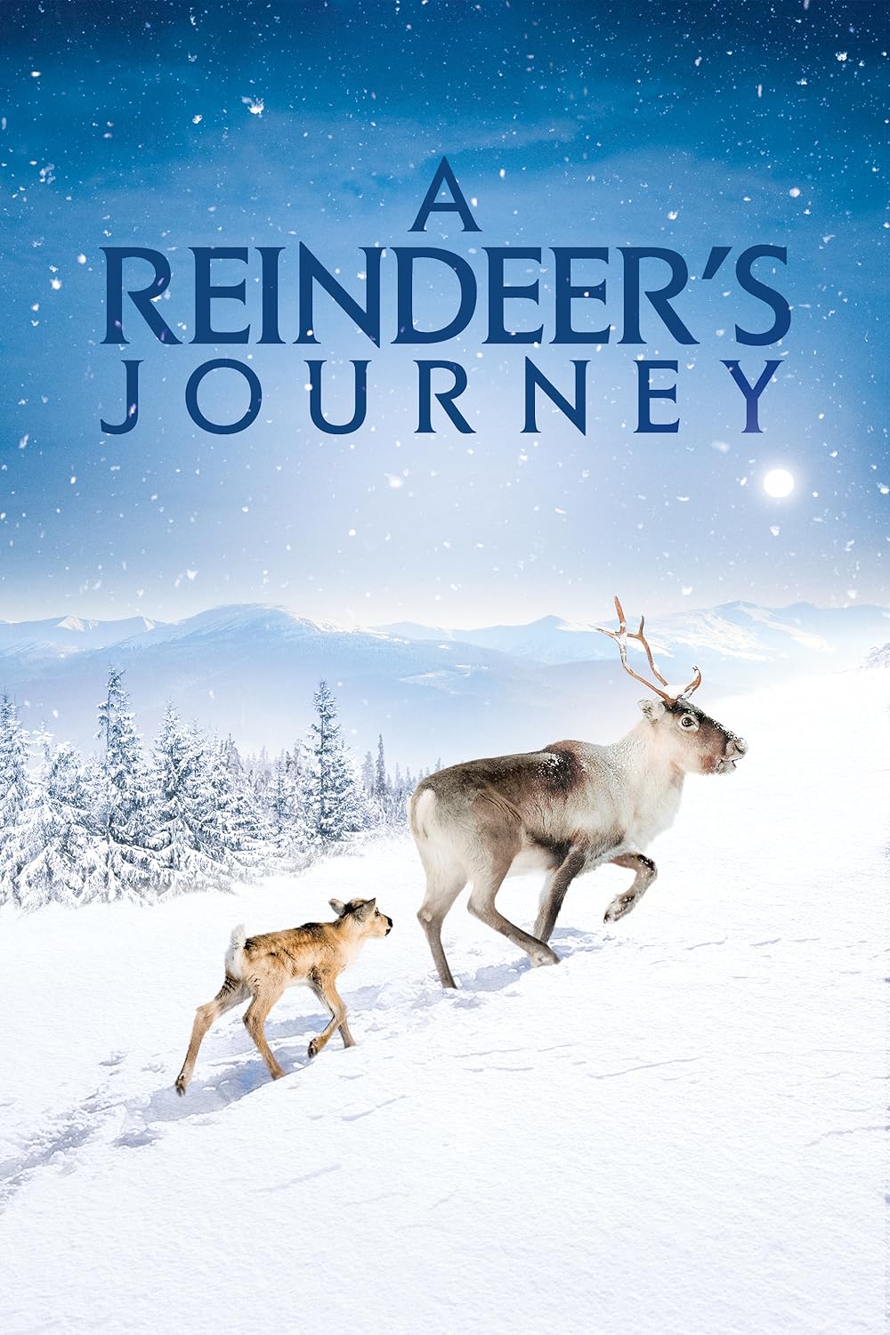 A Reindeer's Journey 
