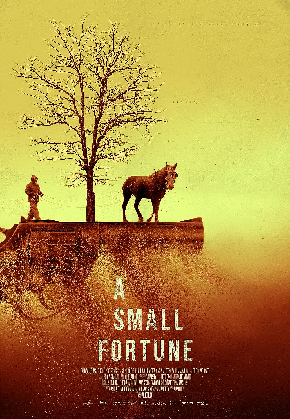 A Small Fortune 