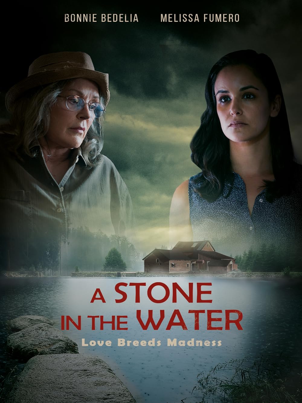 A Stone in the Water 