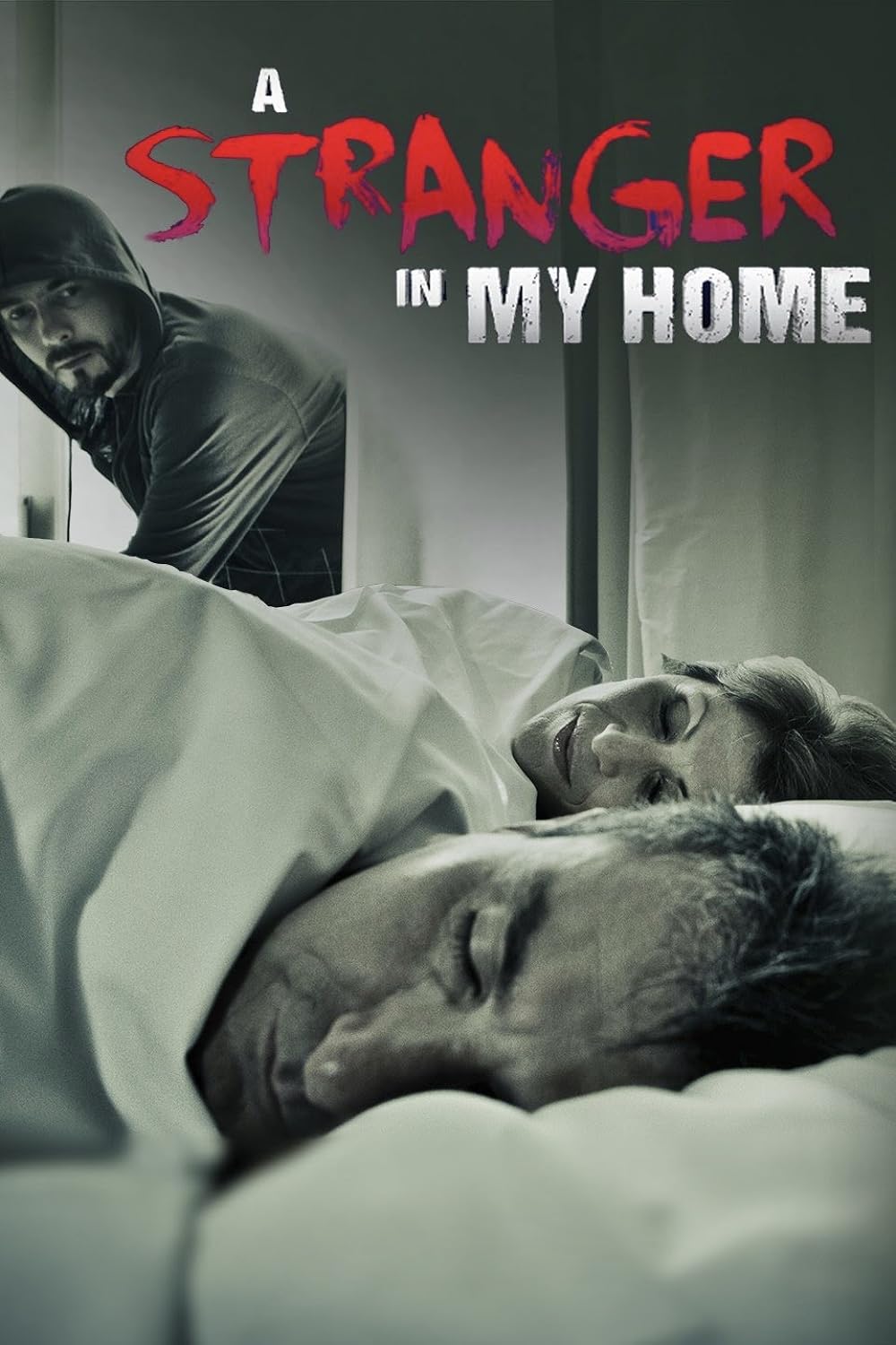 A Stranger in My Home 