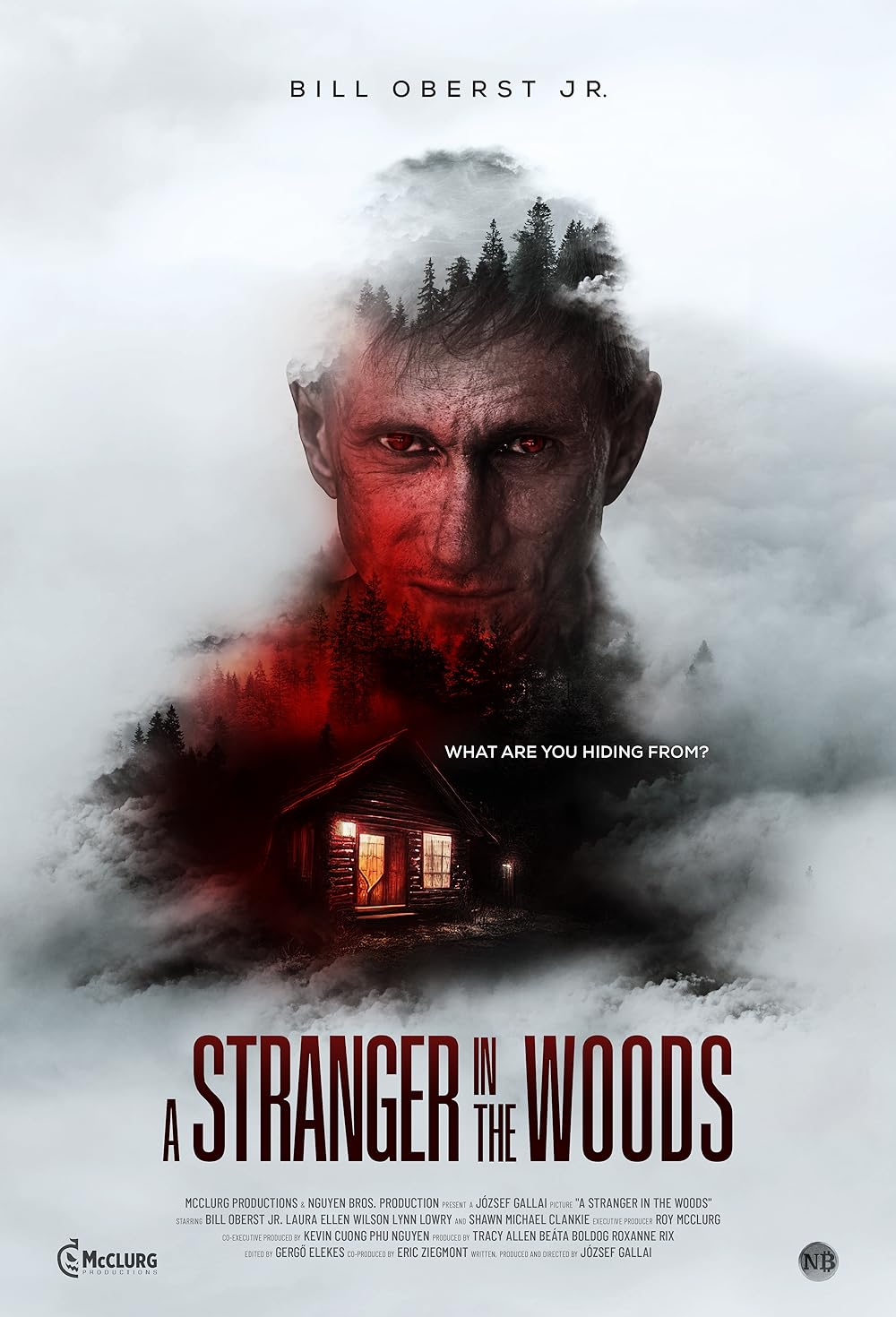 A Stranger in the Woods 