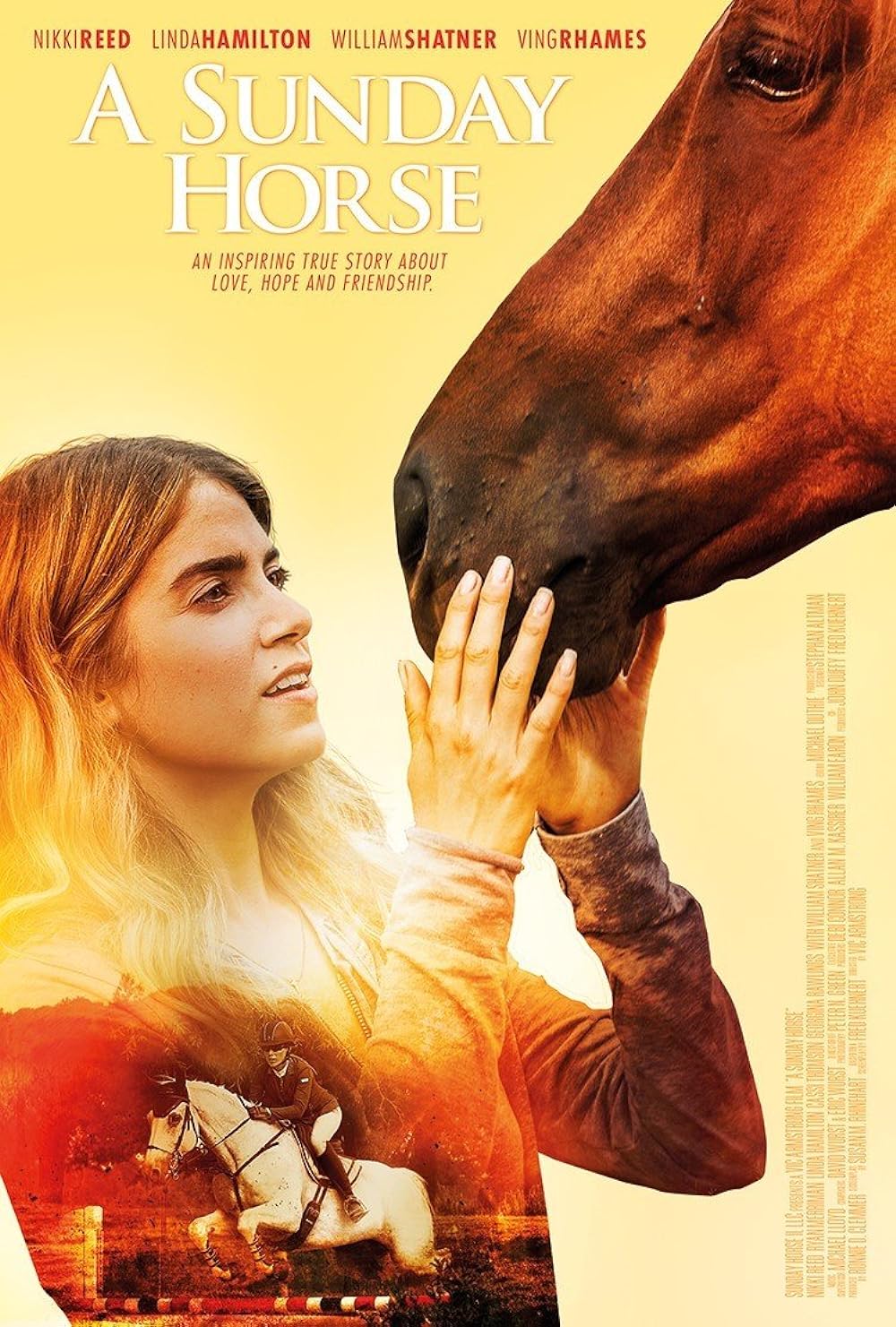 A Sunday Horse 