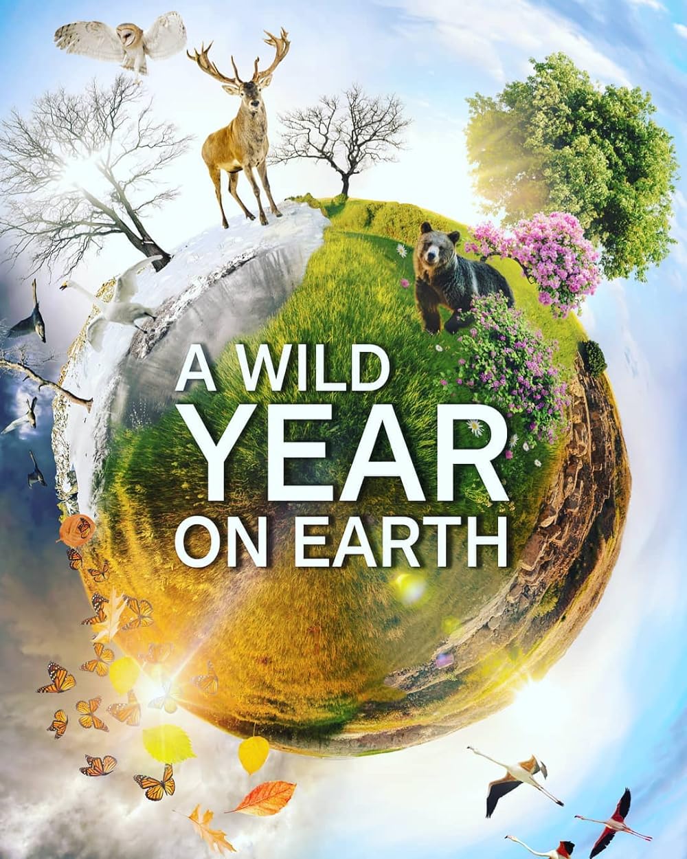 A Wild Year on Earth 