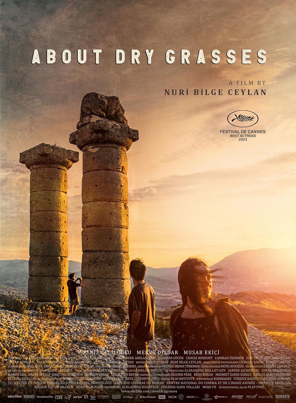 About Dry Grasses 