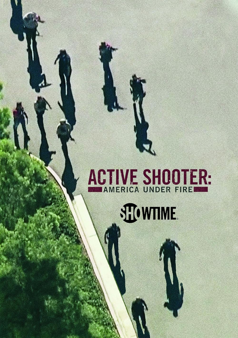Active Shooter: America Under Fire 
