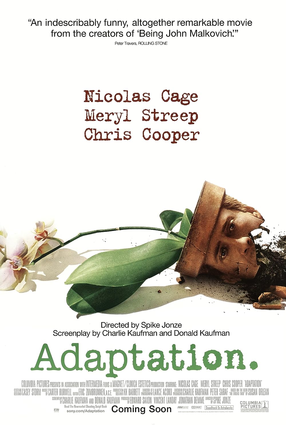 Adaptation. 