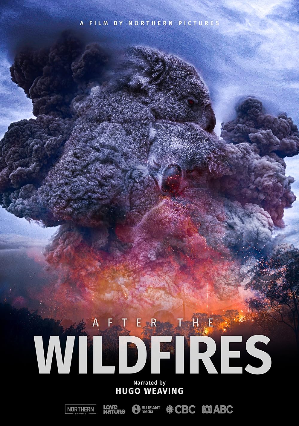 After the Wildfires 