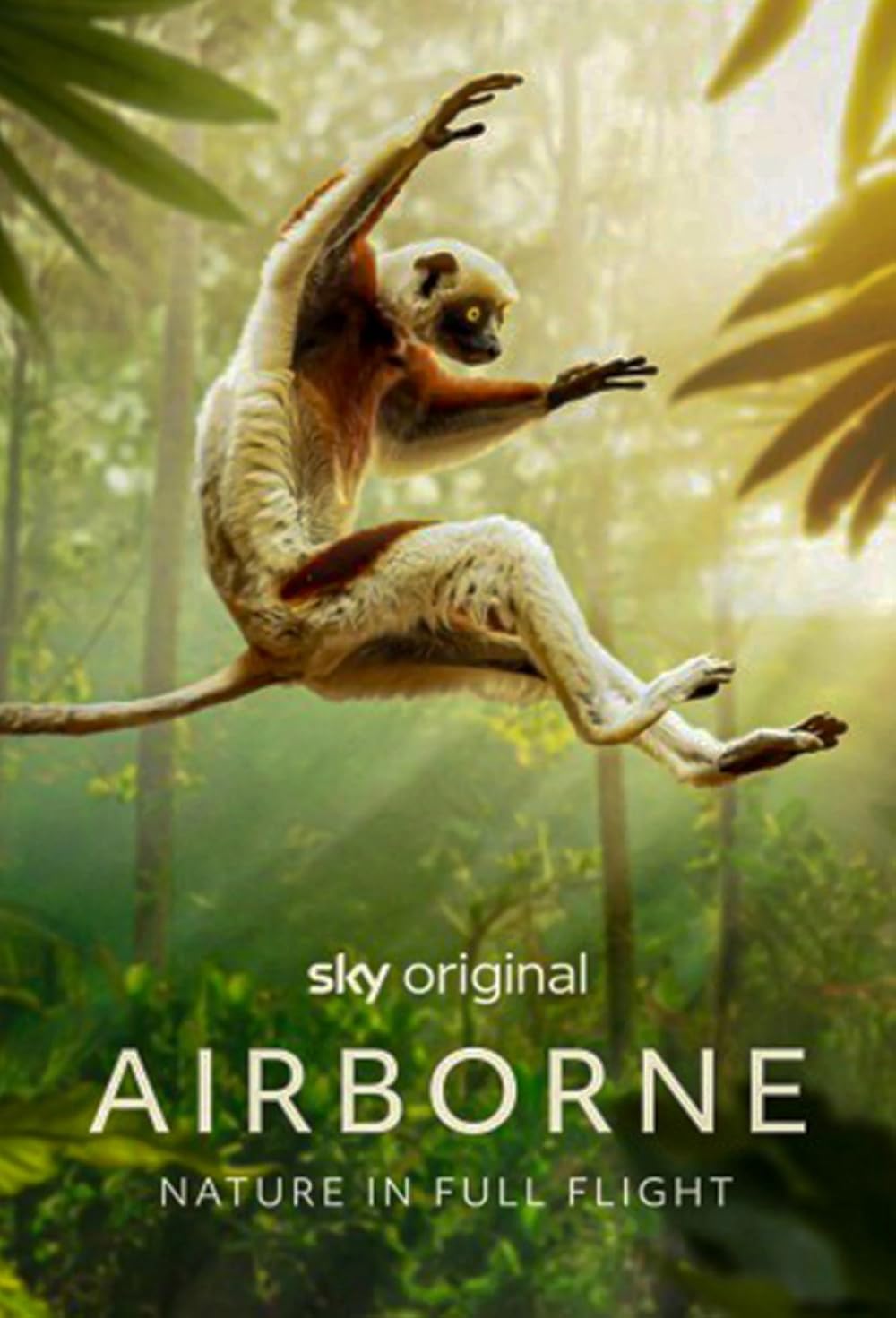 Airborne 