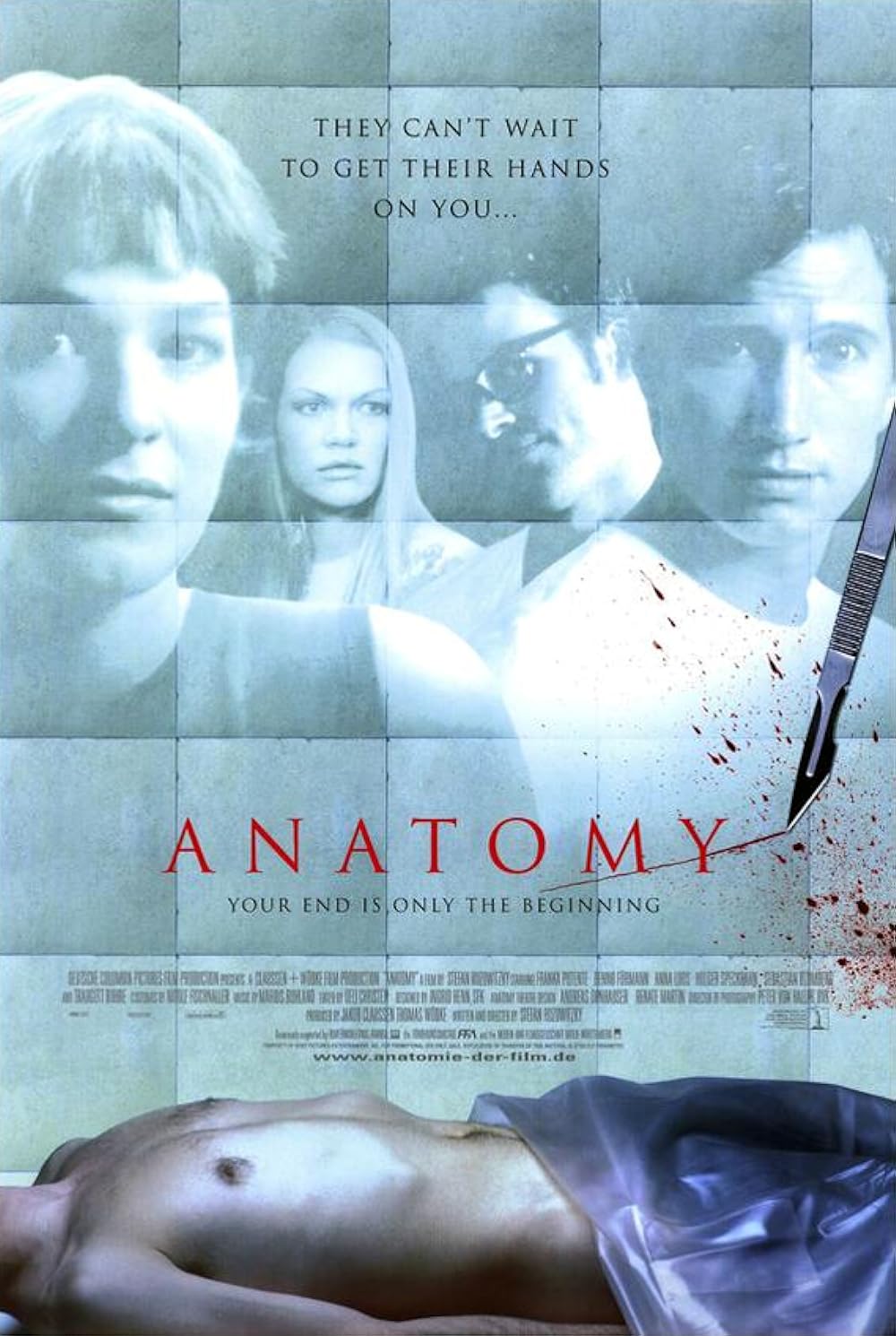 Anatomy 