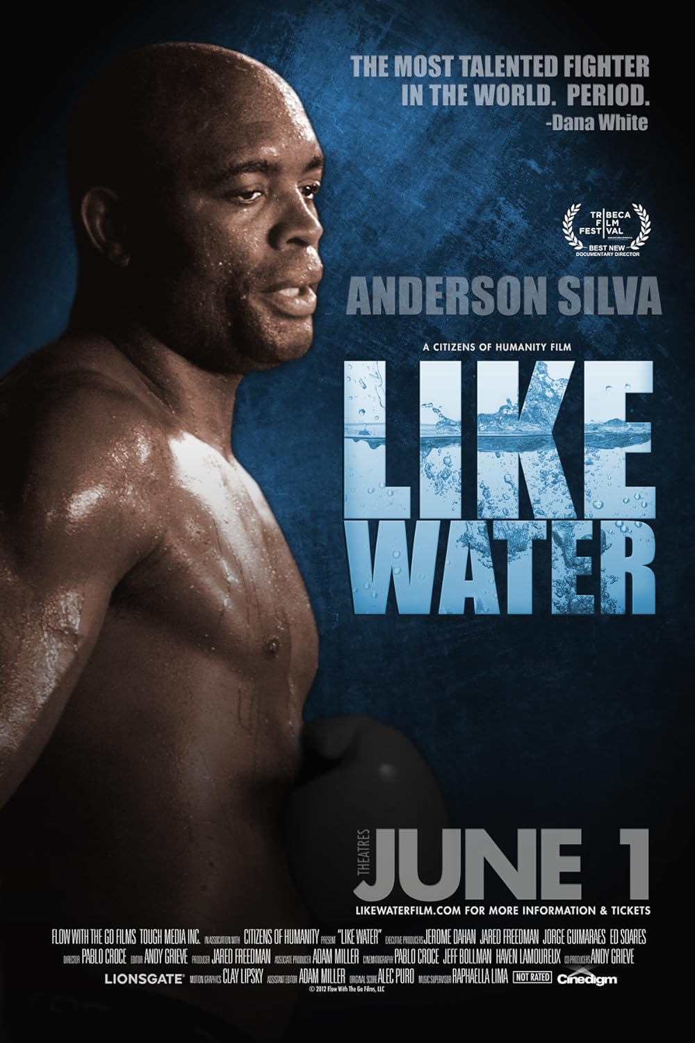 Anderson Silva: Like Water 