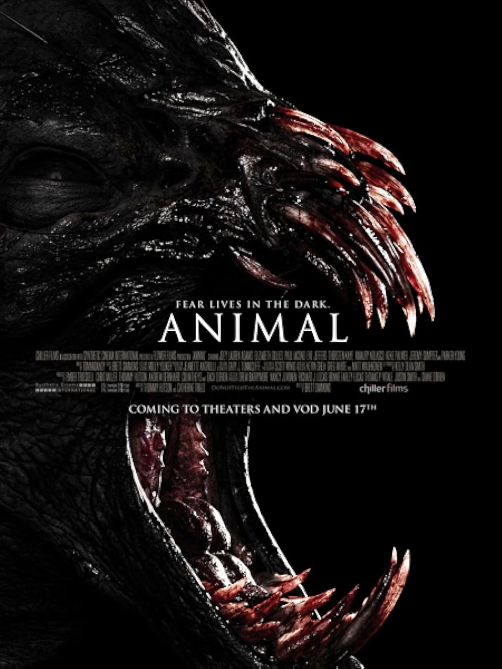 Animal 