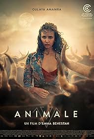 Animale 