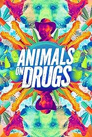 Animals On Drugs 