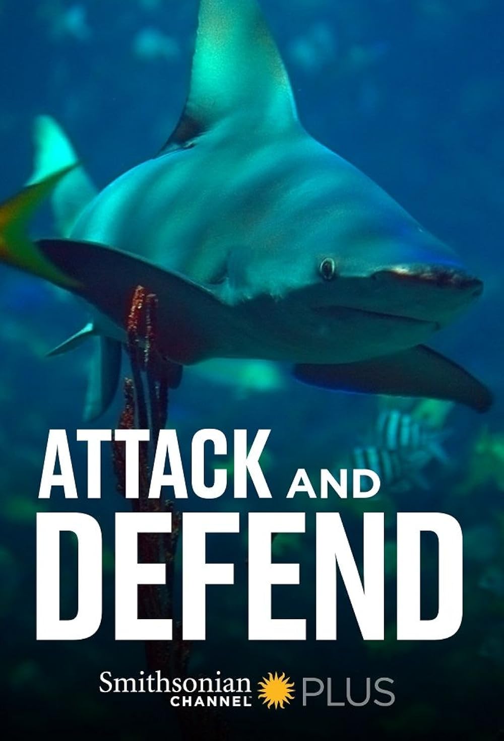 Attack and Defend 
