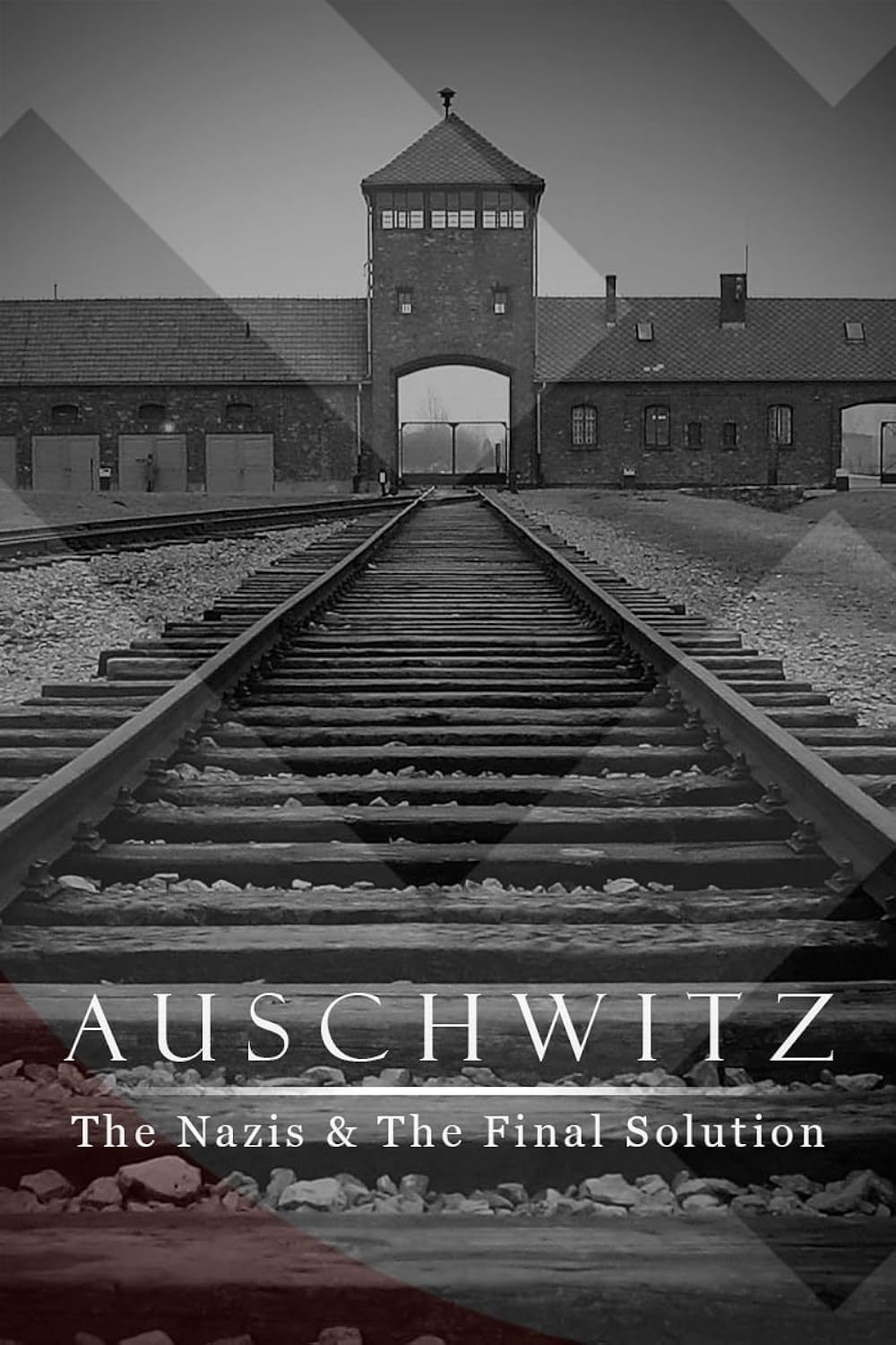Auschwitz: Inside the Nazi State 