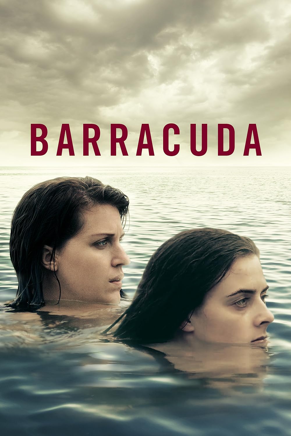 Barracuda 