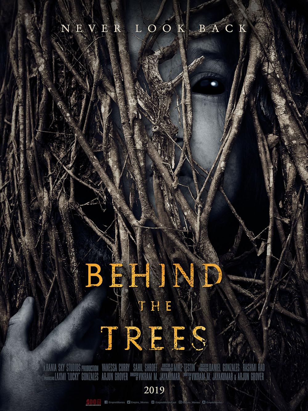 Behind the Trees 
