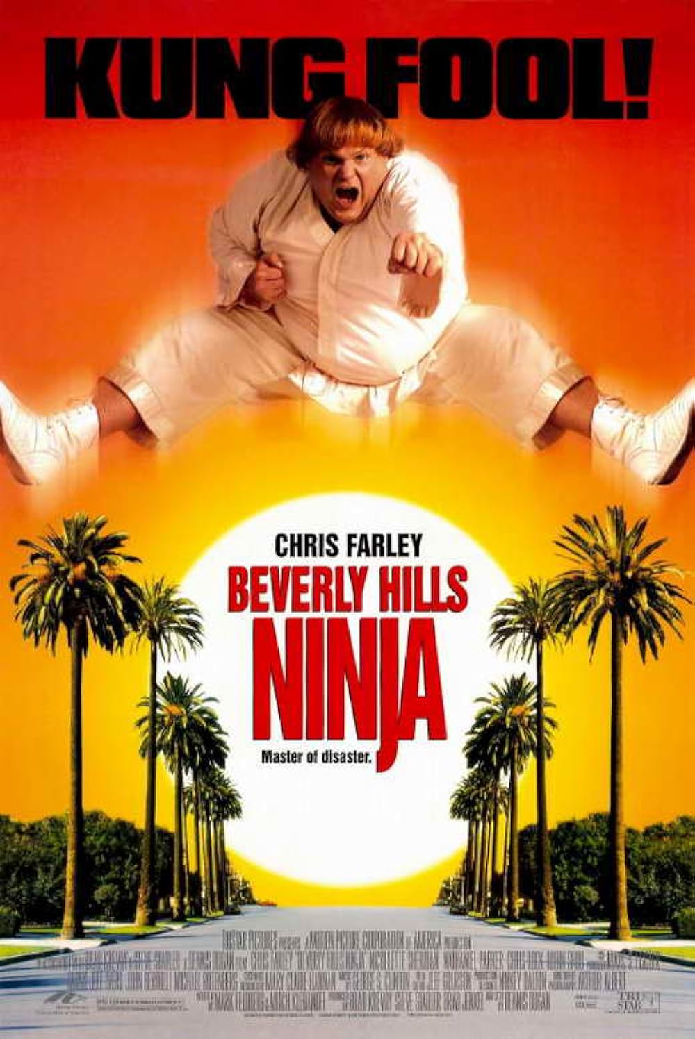 Beverly Hills Ninja 