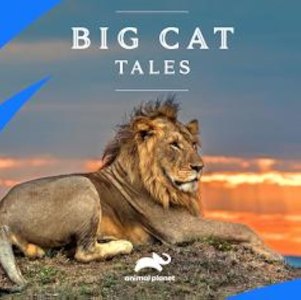 Big Cat Tales 