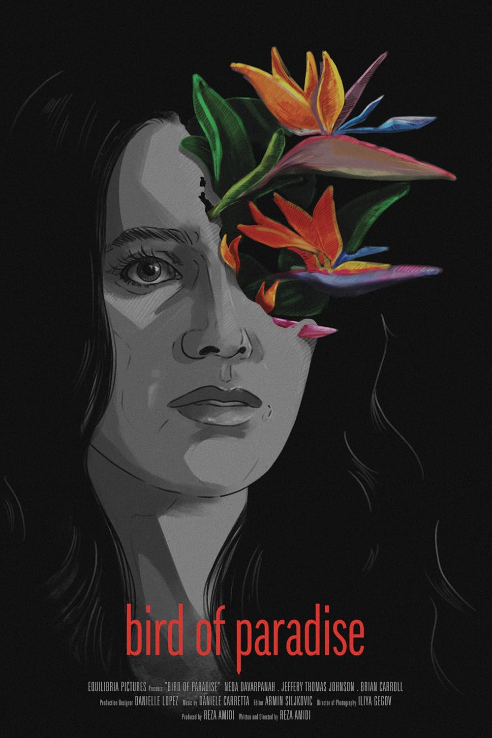 Bird of Paradise 