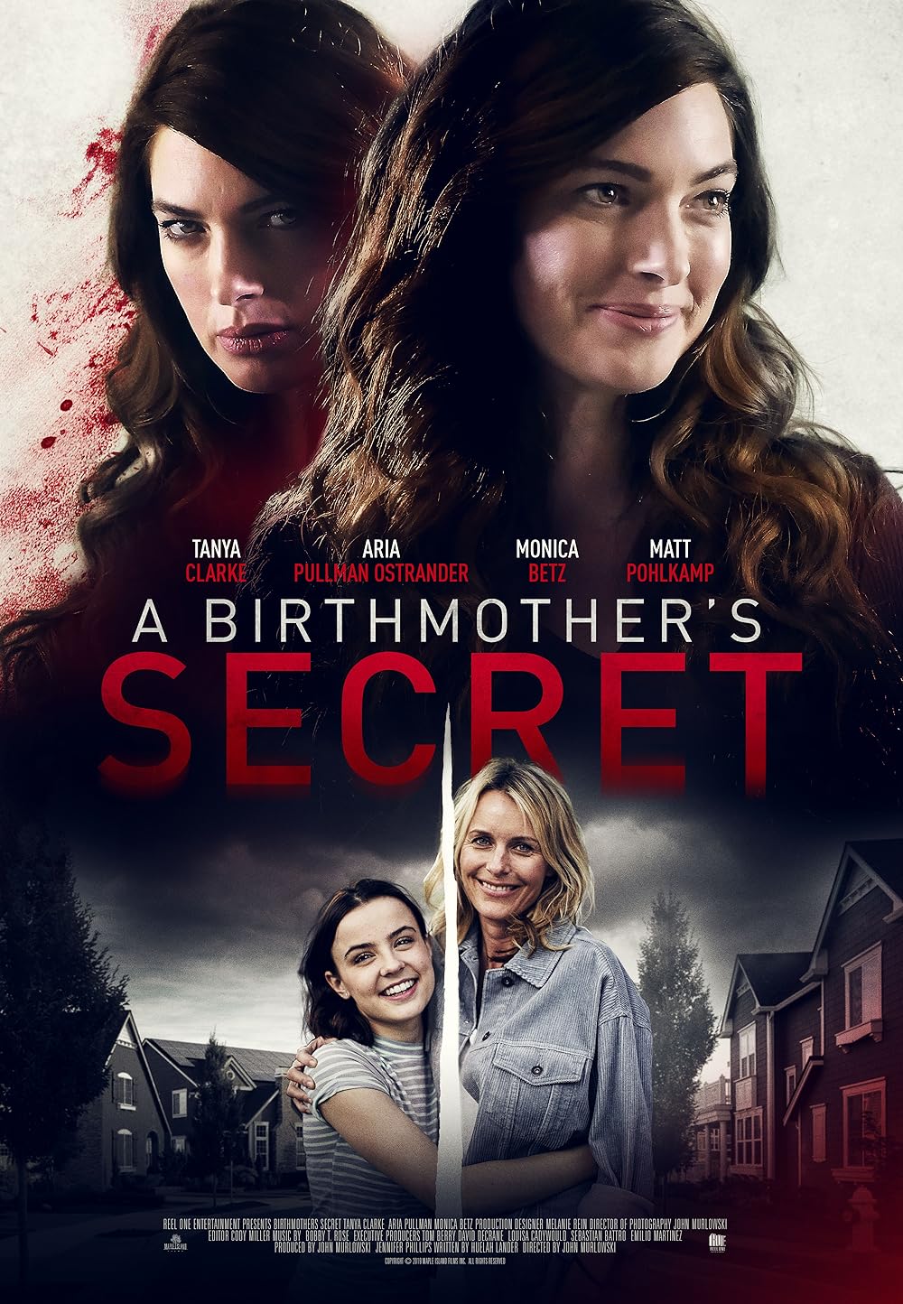 Birthmother's Betrayal 