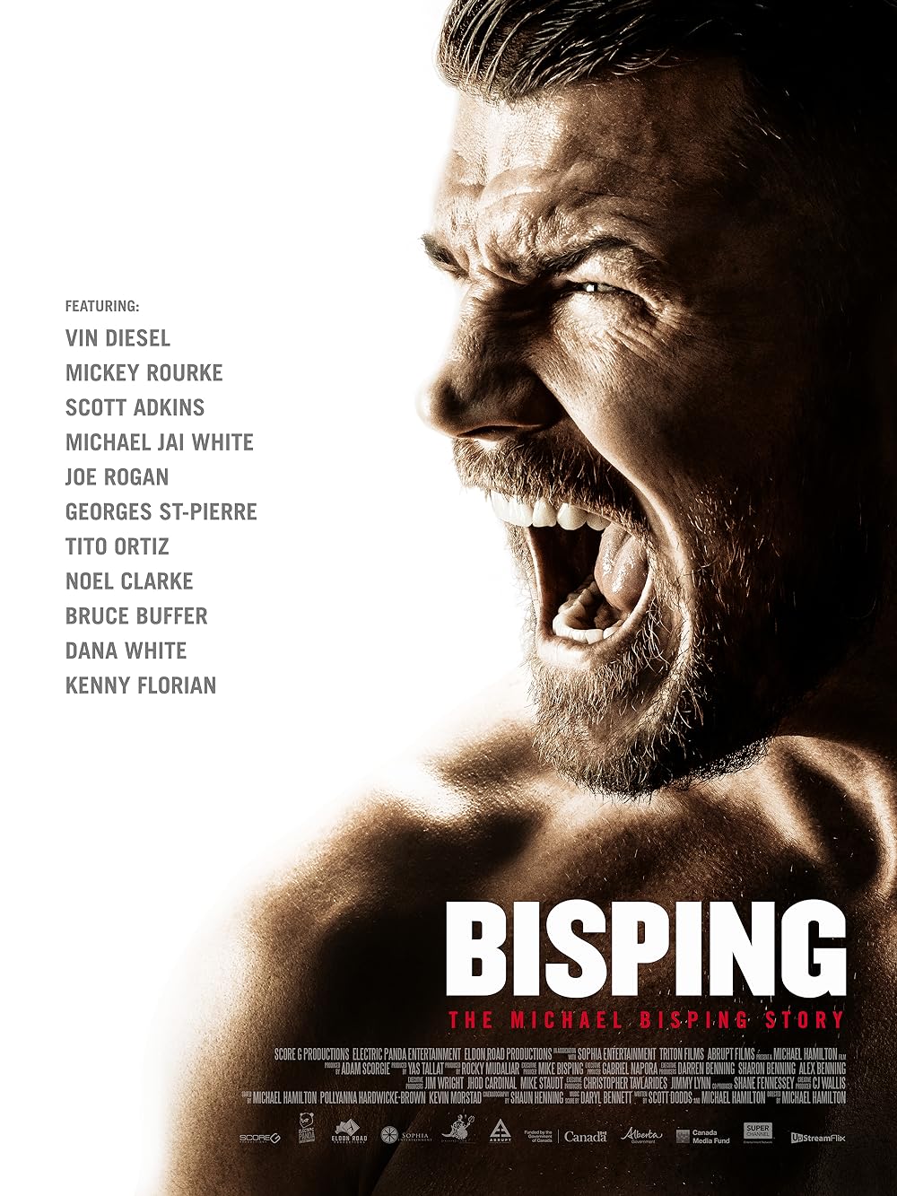 Bisping 