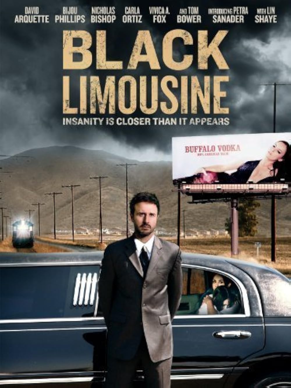 Black Limousine 