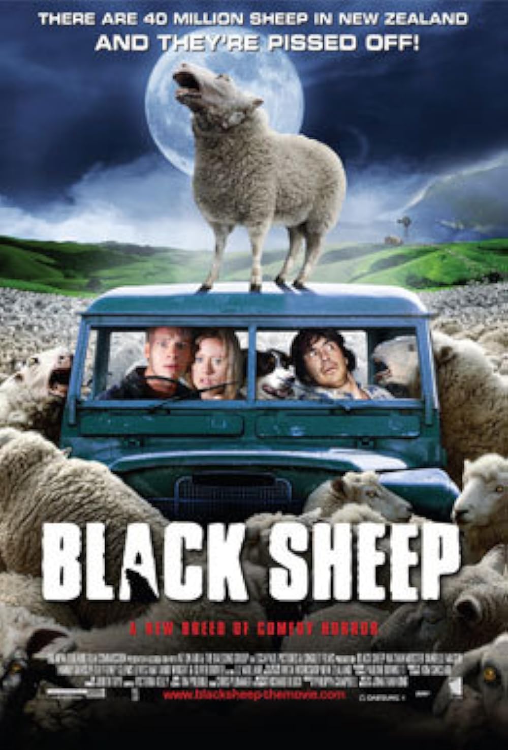 Black Sheep 