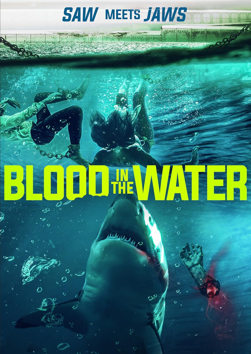 Blood in the Water 