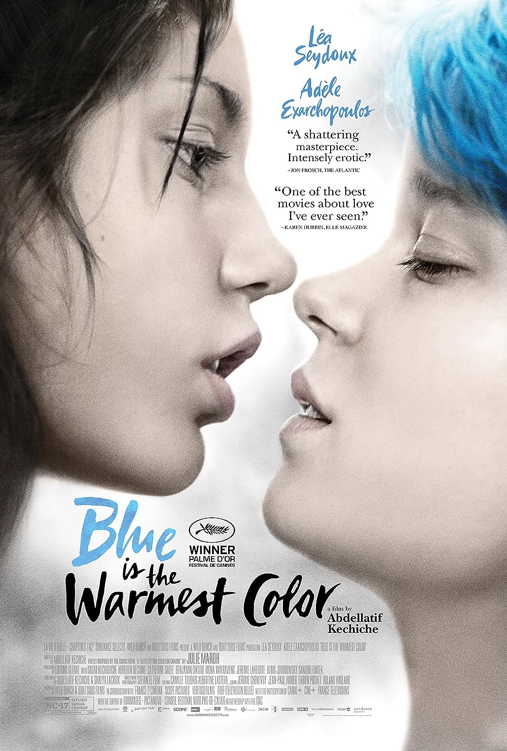 Blue Is the Warmest Colour 