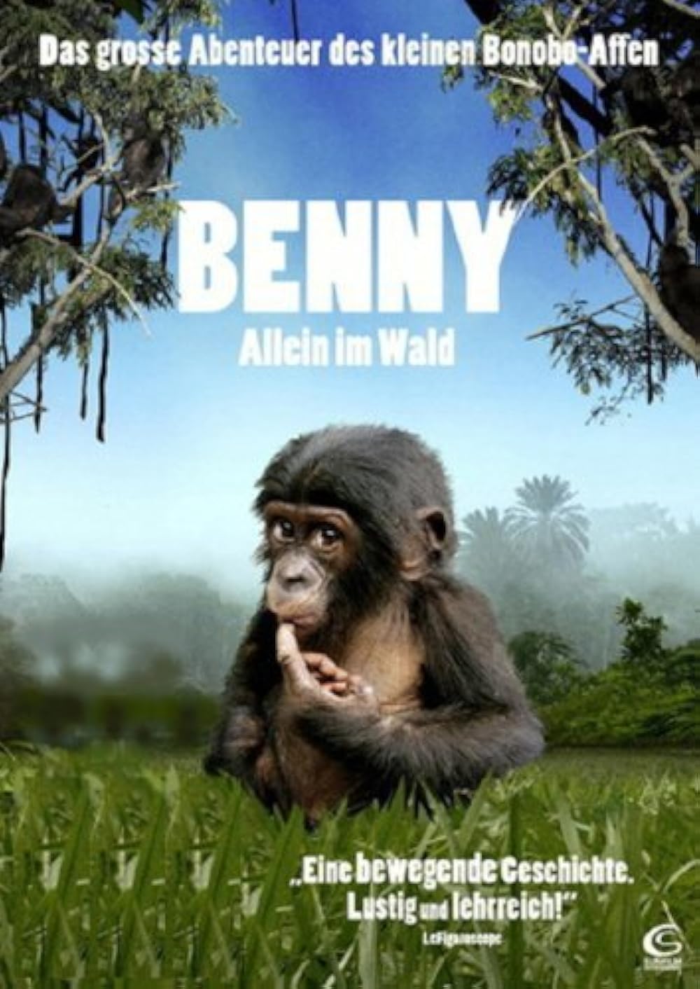 Bonobos: Back to the Wild 