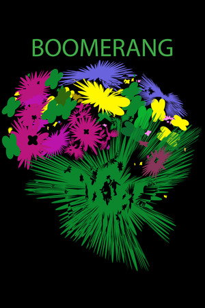 Boomerang 
