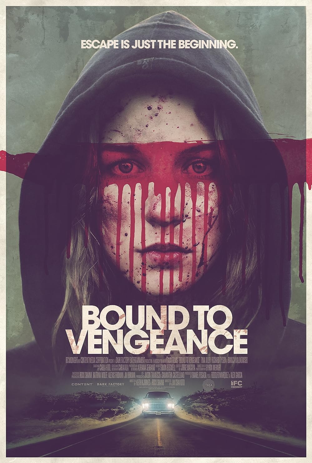 Bound to Vengeance 