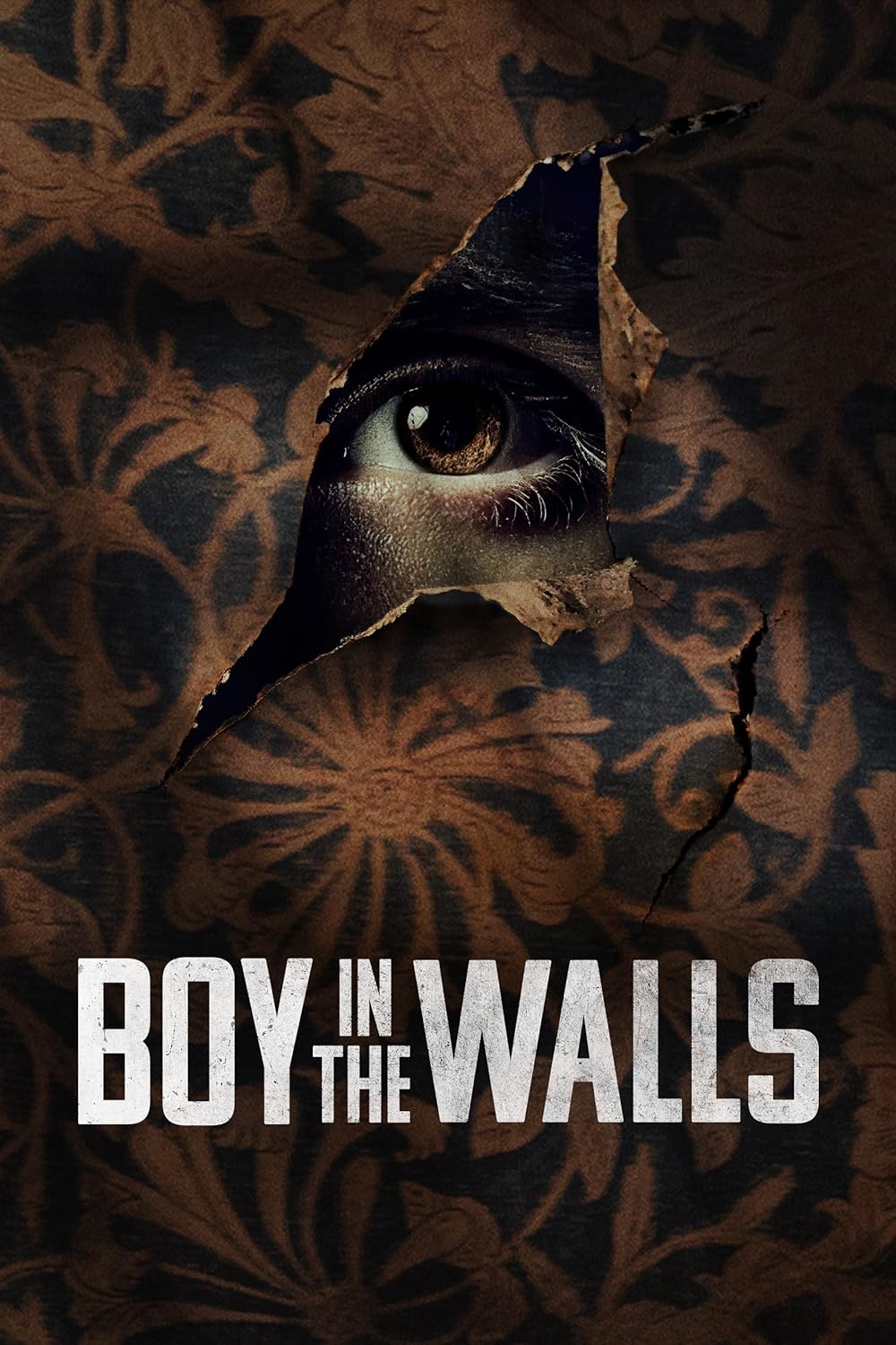Boy in the Walls 