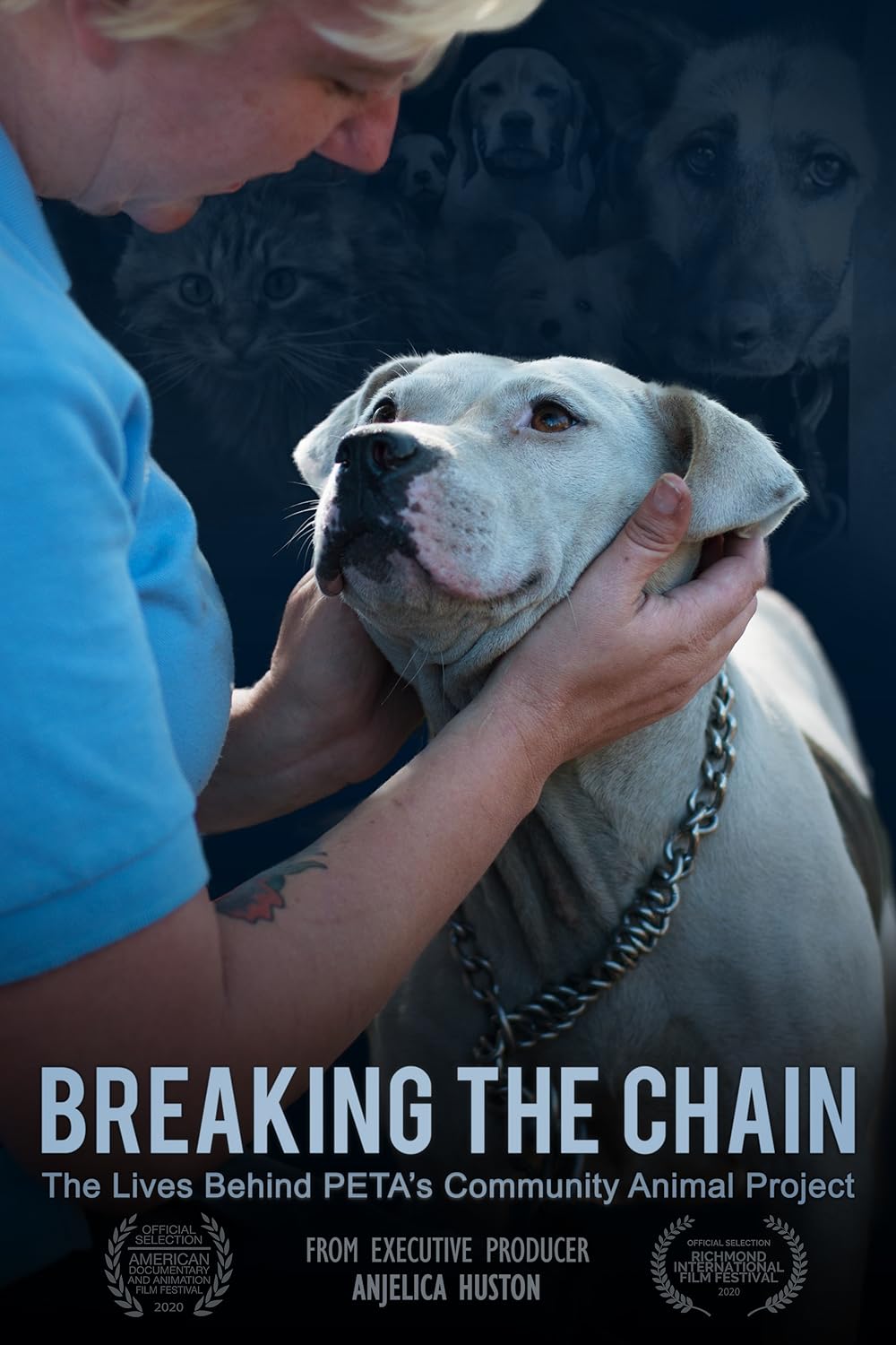 Breaking the Chain 