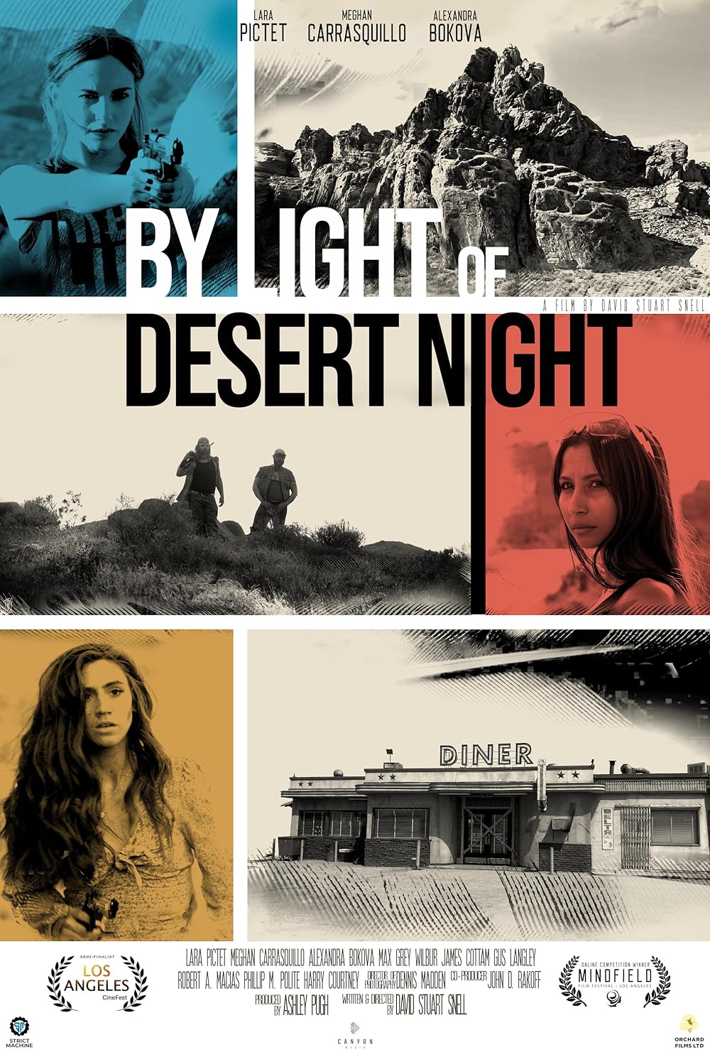 By Light of Desert Night 