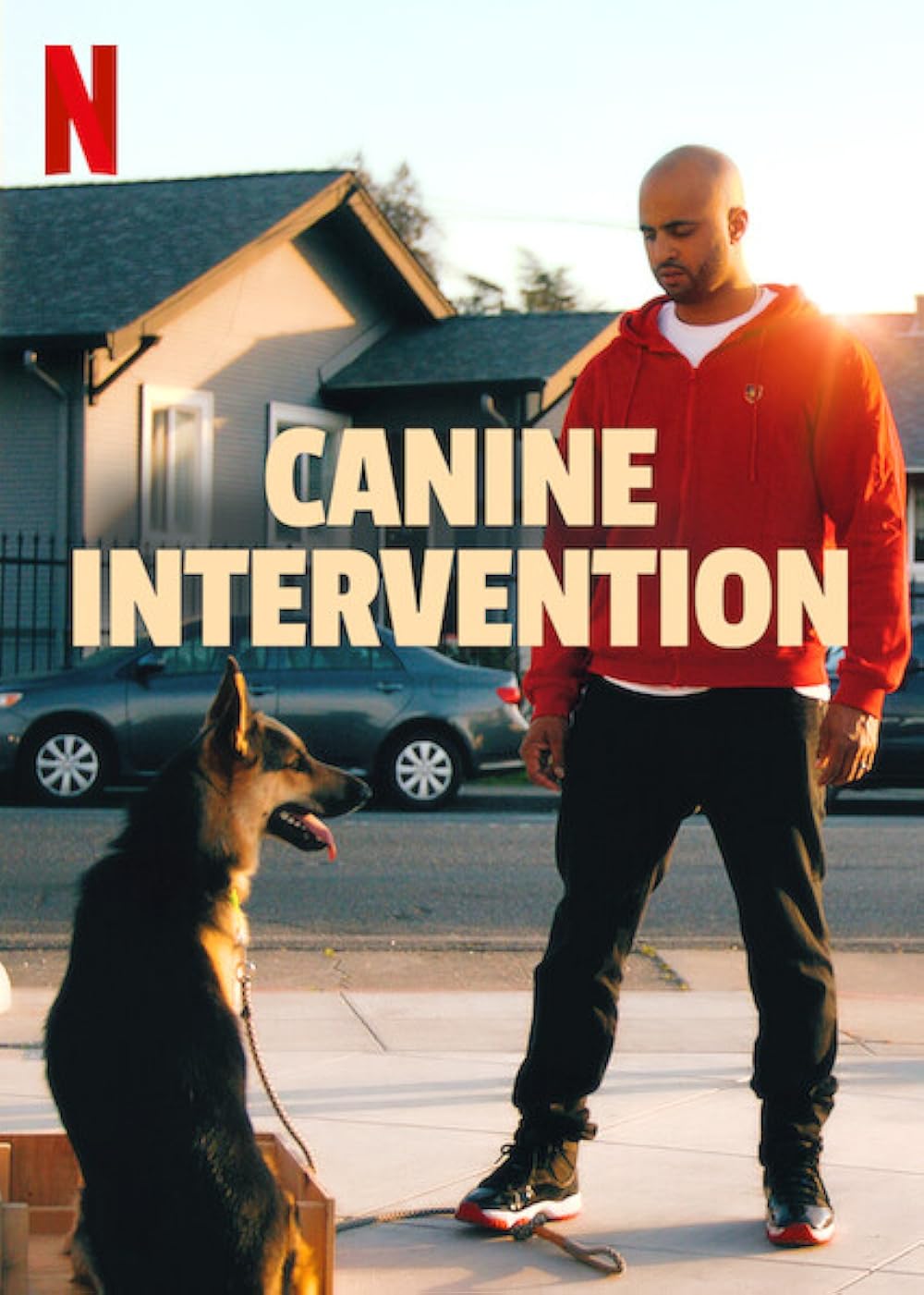 Canine Intervention 