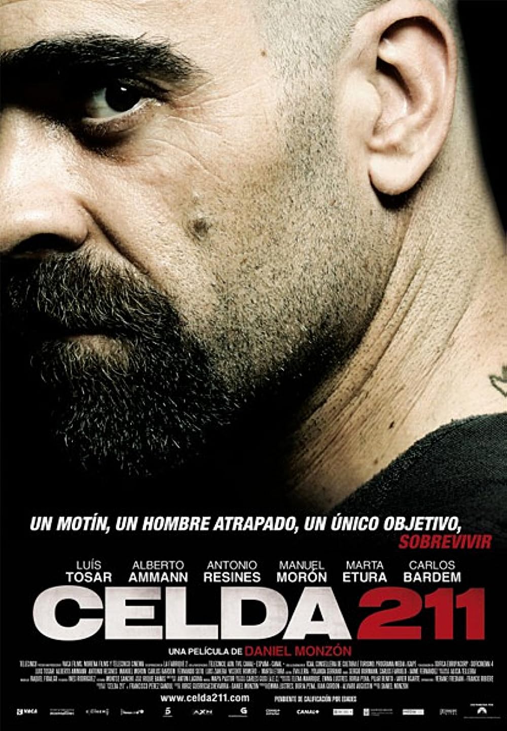 Cell 211 