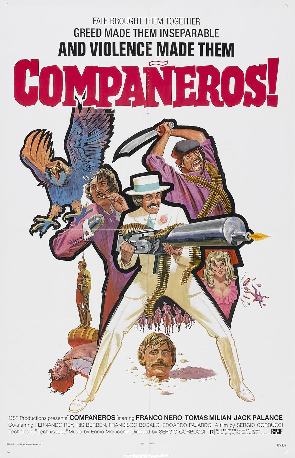 CompaÃ±eros 