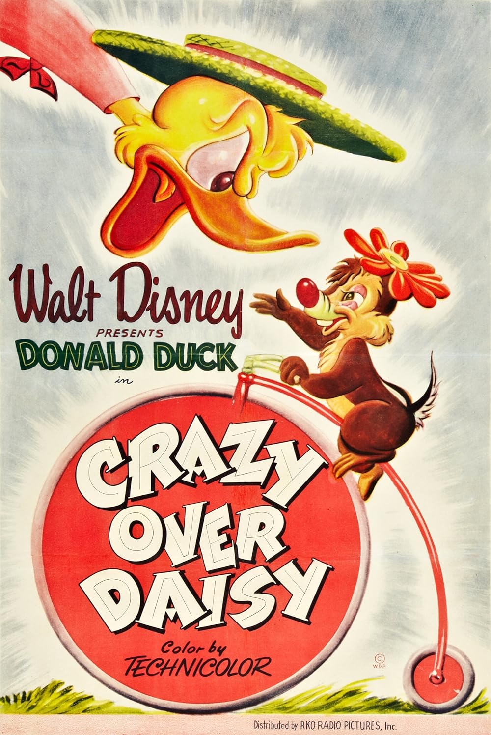 Crazy Over Daisy 