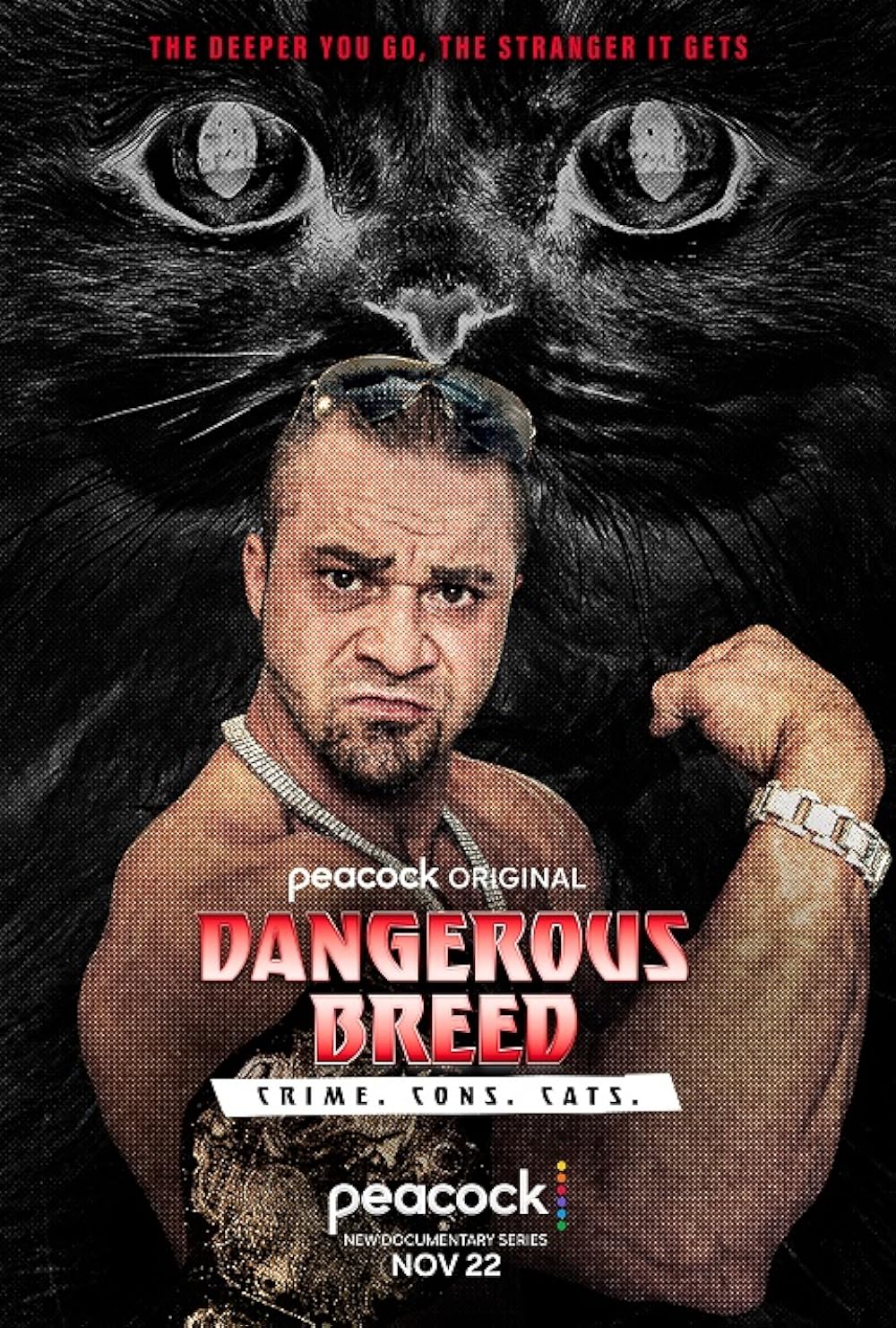 Dangerous Breed: Crime. Cons. Cats. 