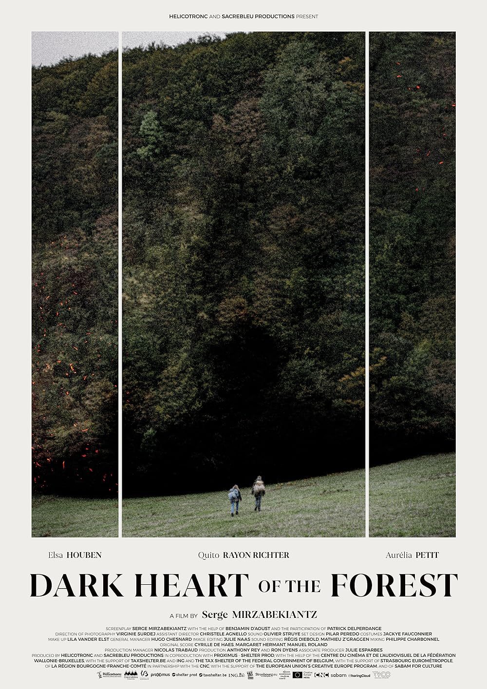Dark Heart of the Forest 